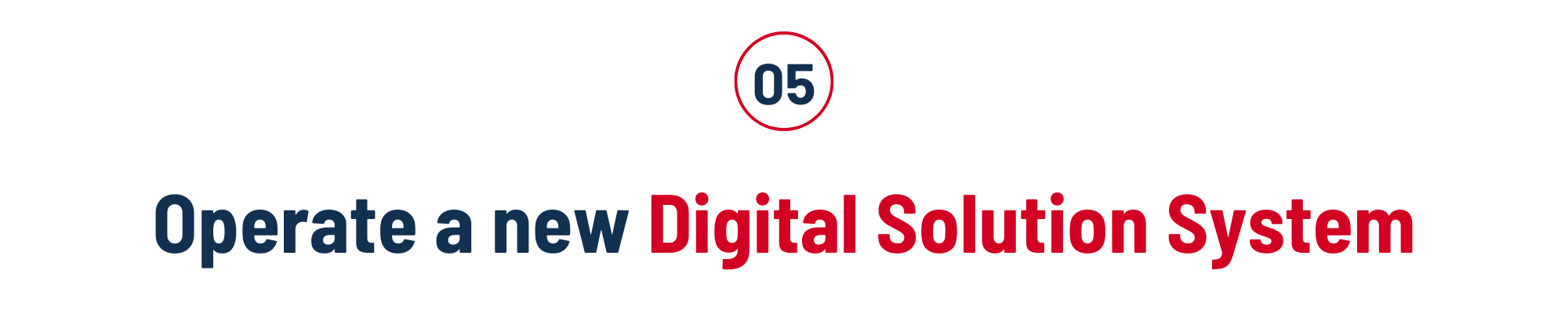 Vilai Viet operated a new Digital Solution System 2022in 
